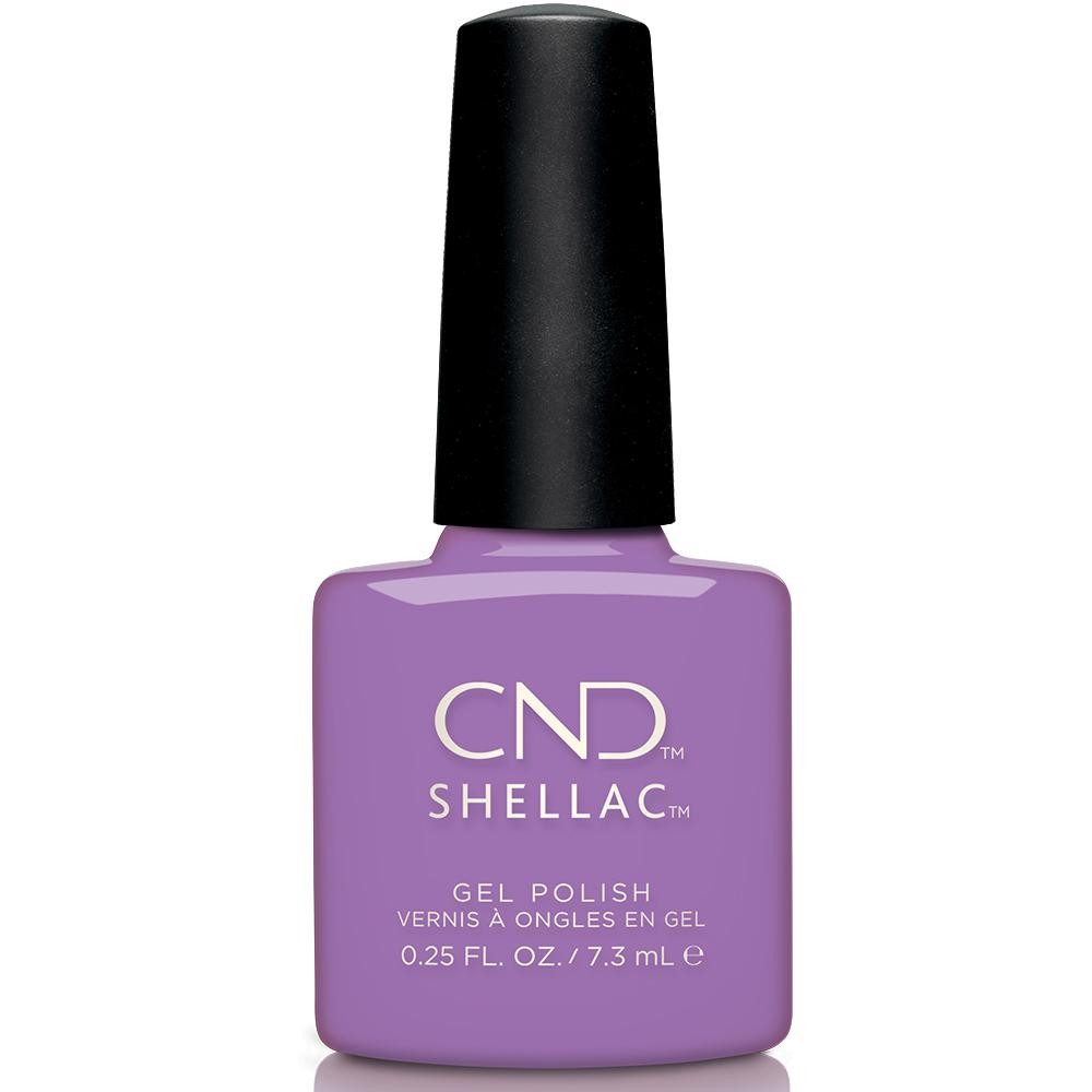 355 IT'S NOW OAR NEVER - SHELLAC CND - BEMEXCO +Bonito +Fácil